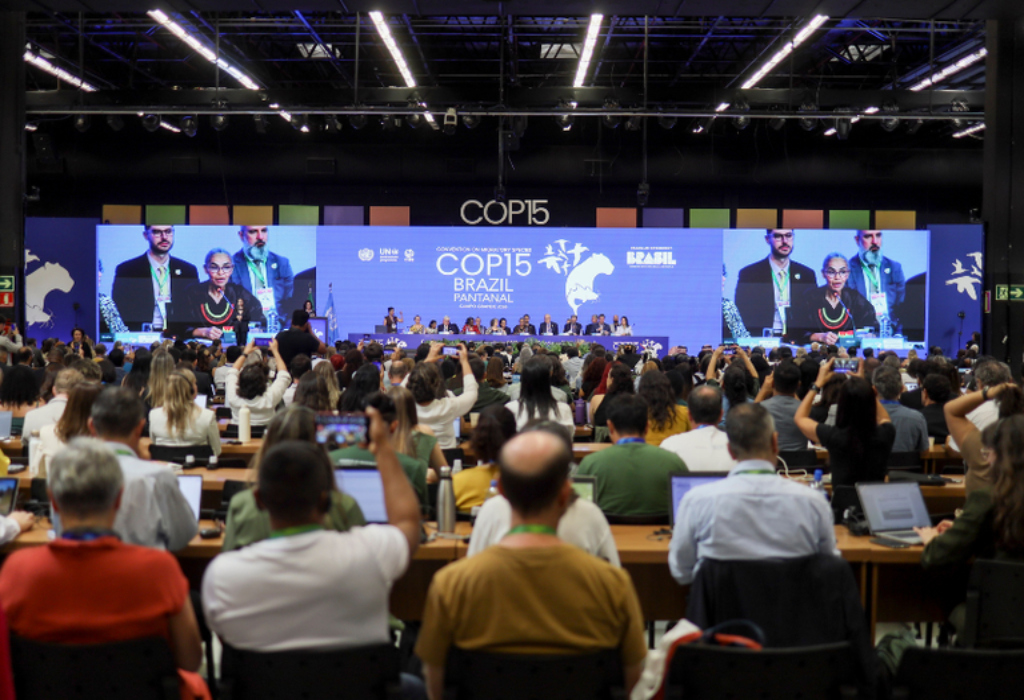 Cooperación y protagonismo de la biodiversidad pide la COP15 en Brasil