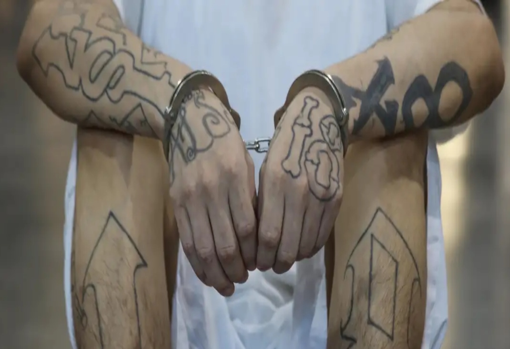 Bukele ofrece a Petro «100 %» de los detenidos de El Salvador