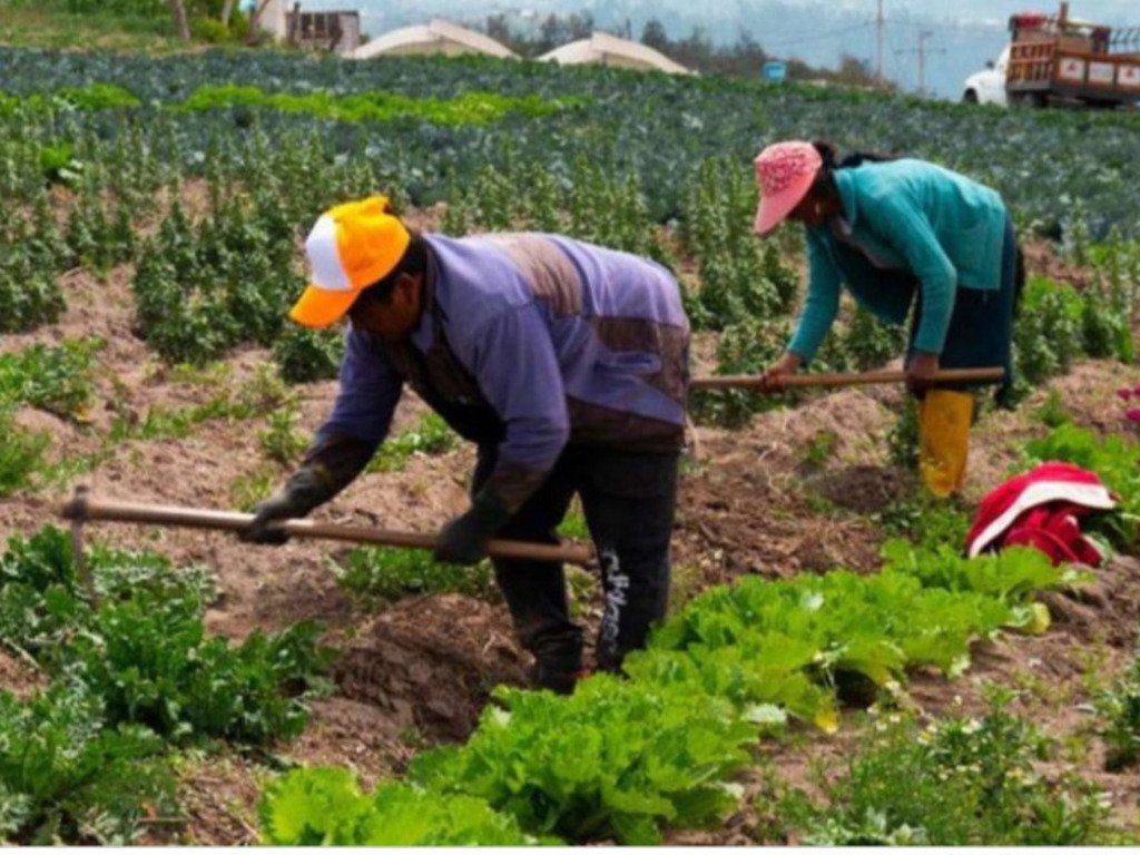 Polémica en Bolivia tras promulgación de ley sobre tierras