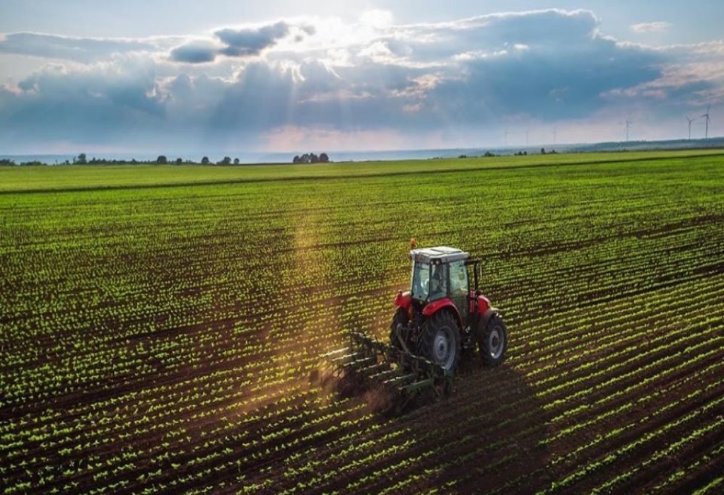 Panamá y FAO fortalecen hoja de ruta ambiental