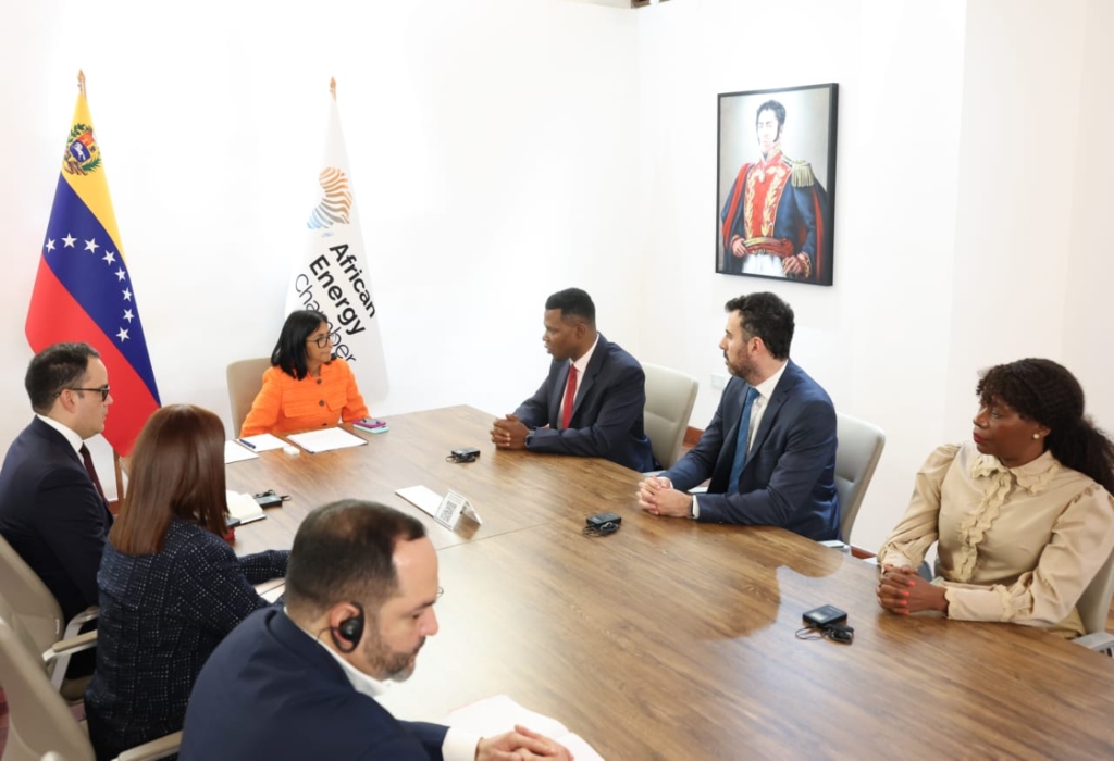 Gobierno de Venezuela y Cámara Africana de Energía revisan oportunidades de inversión